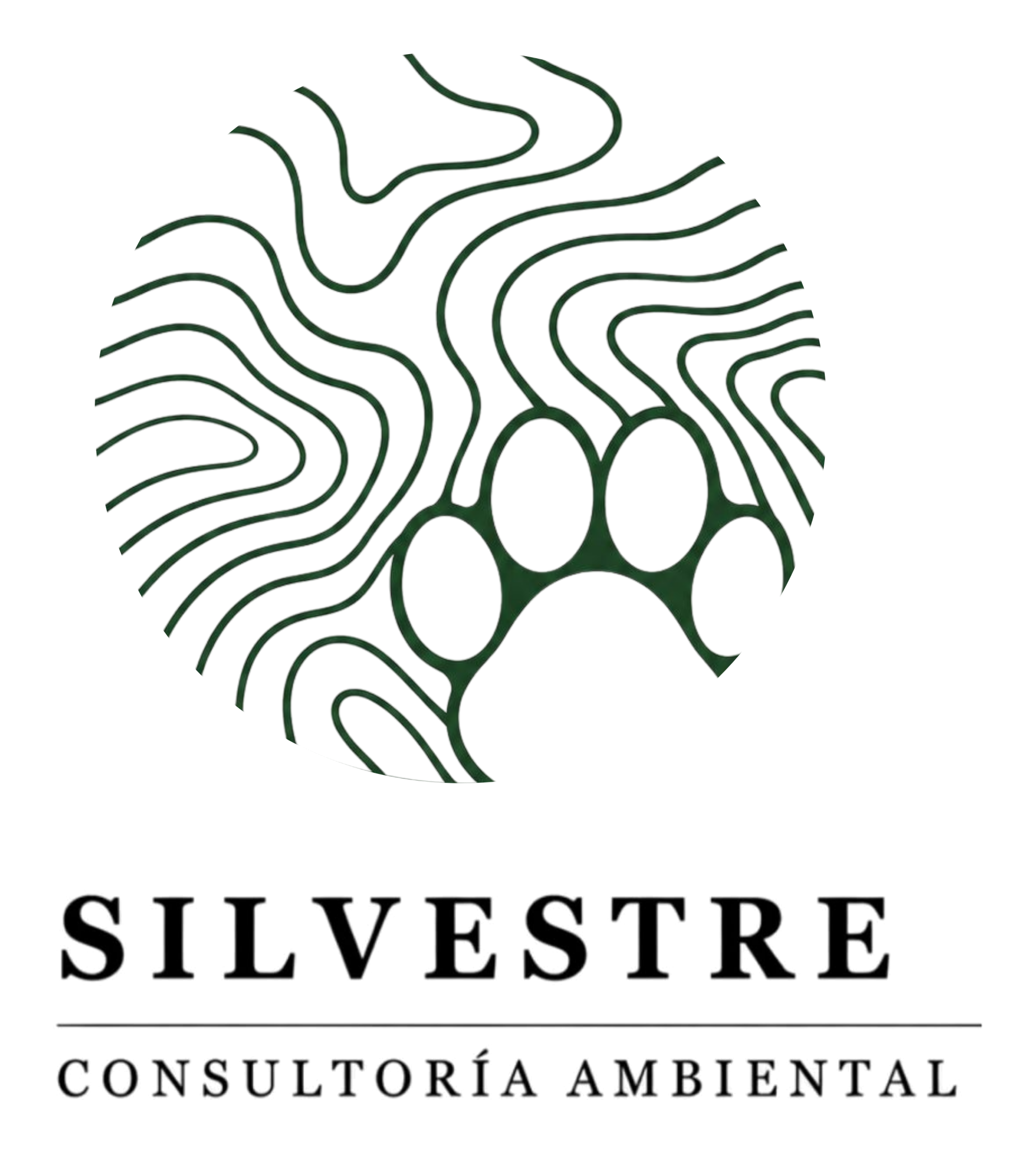 Silvestre Consultoría Ambiental